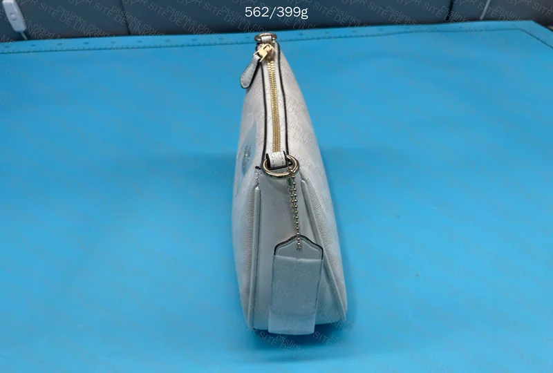 Coach Bag (for Woman) 4