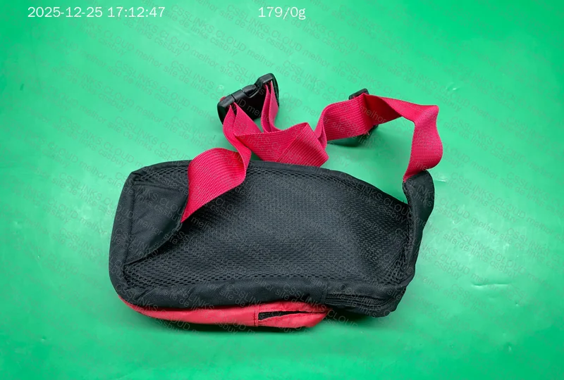 Nintendo Switch Transport Bag