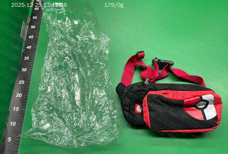 Nintendo Switch Transport Bag 3