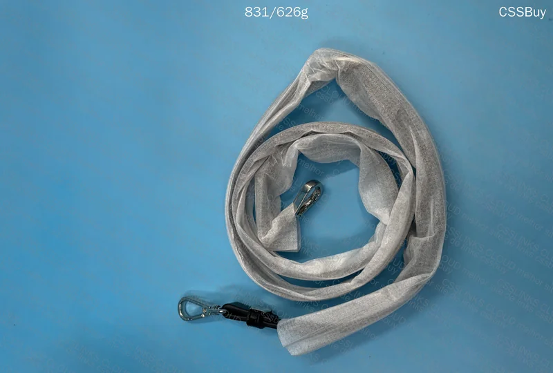 Diesel Bag (Female) 8