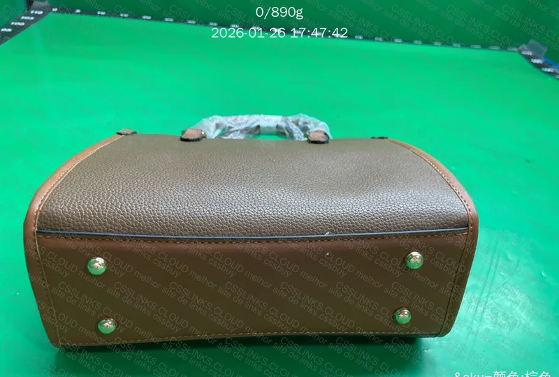 Bolsa genérica do 1688 pra minha mãe 5