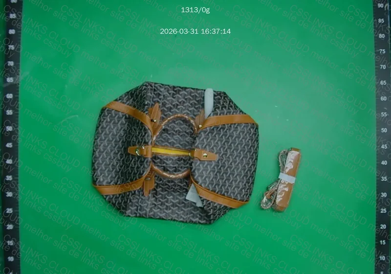Bolsa Goyard Bag, GL?