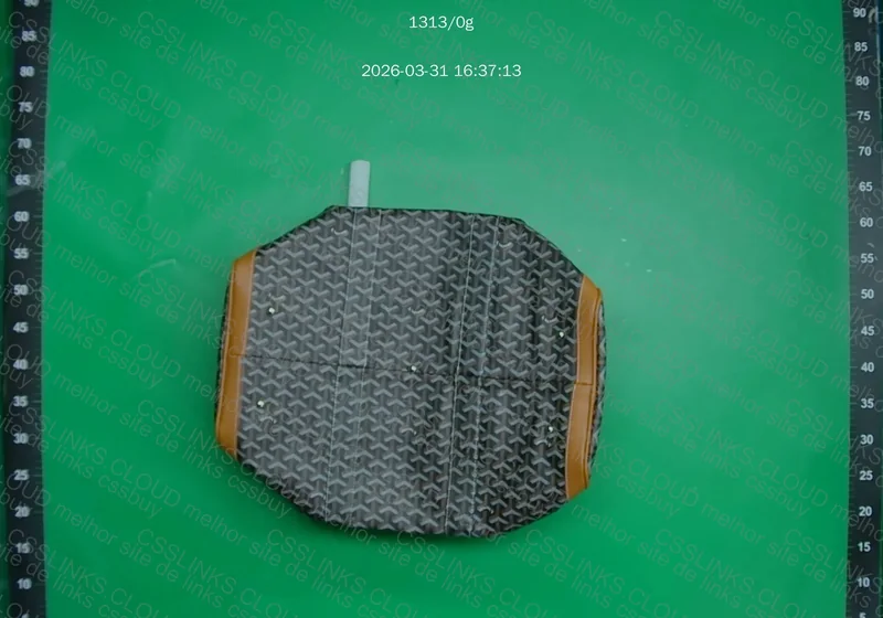 Bolsa Goyard Bag, GL? 2