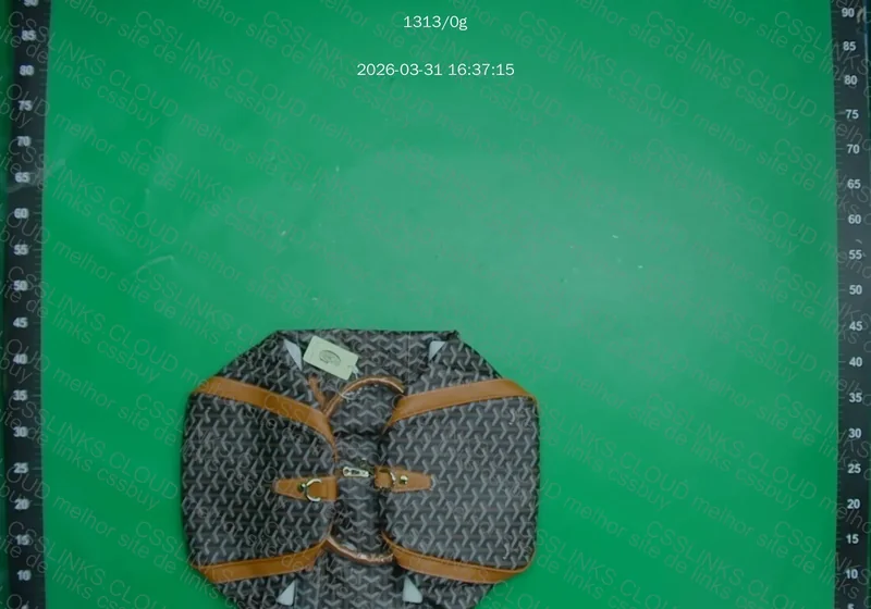 Bolsa Goyard Bag, GL? 3