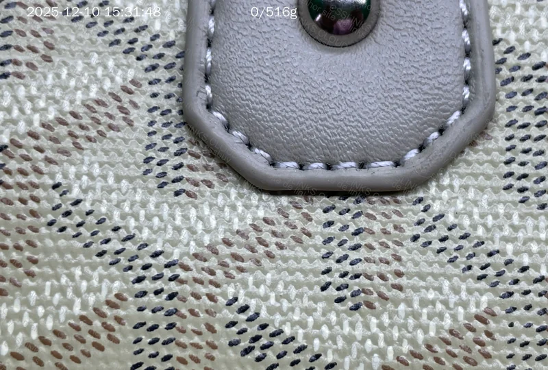 Goyard Jeanne Bag 5