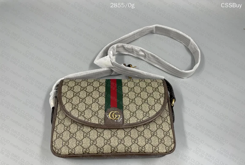 Gucci Bag (Unknown Model) 3