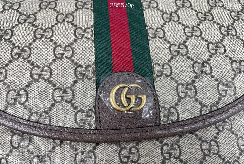 Gucci Bag (Unknown Model) 5