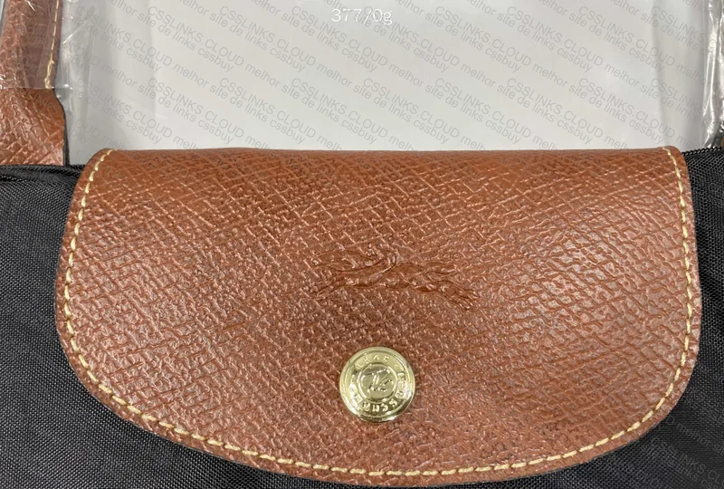 Longchamp Bag 2