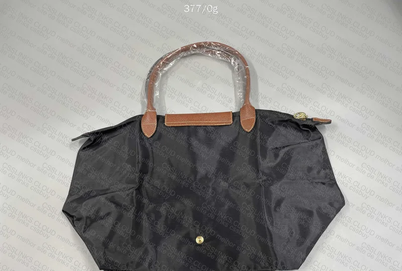 Longchamp Bag 4
