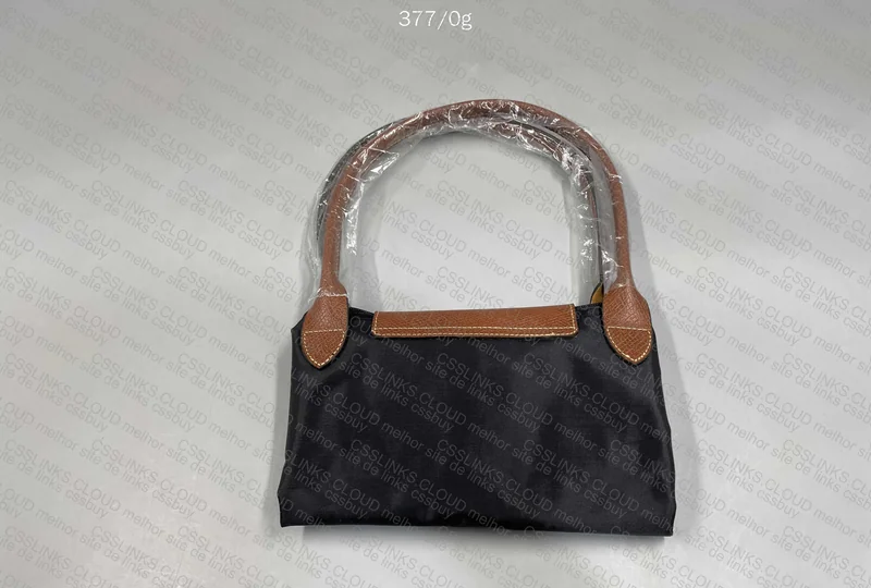 Longchamp Bag 5