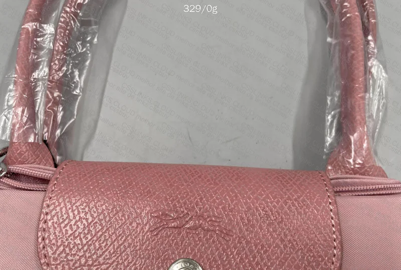 Longchamp Bag 2