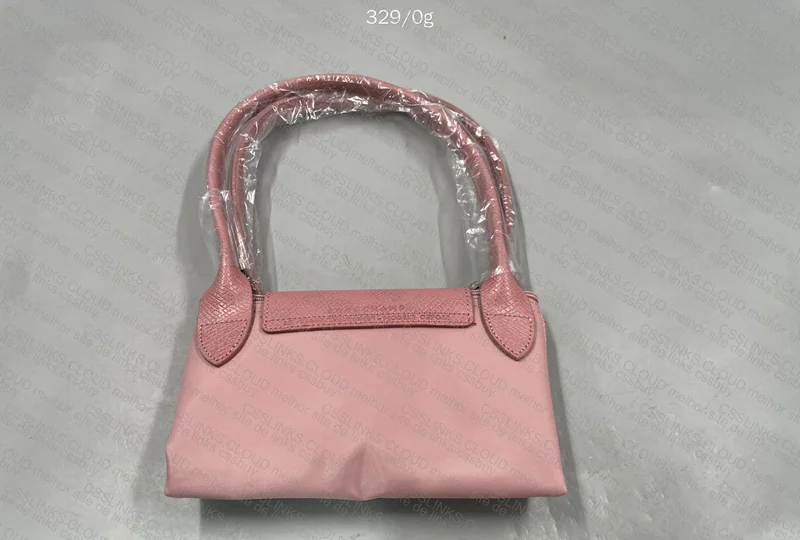 Longchamp Bag 3