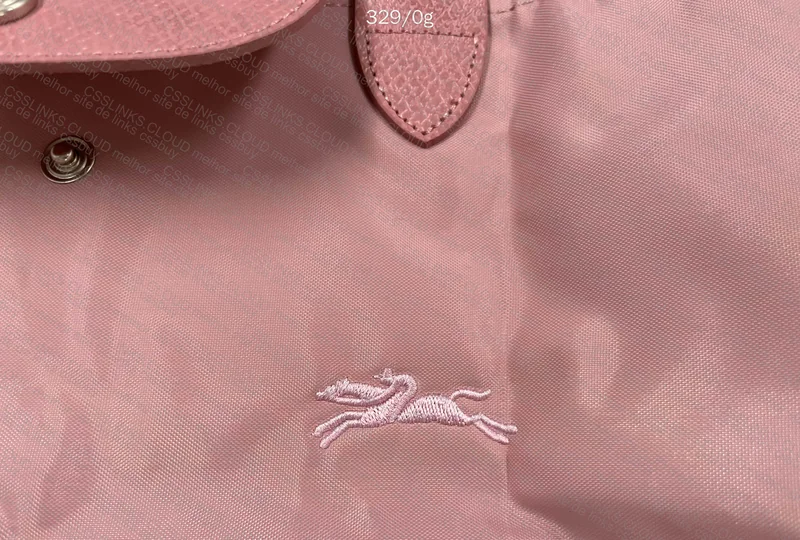 Longchamp Bag 5