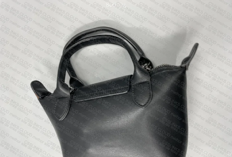 Longchamp Bag 4