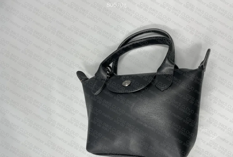 Longchamp Bag 5
