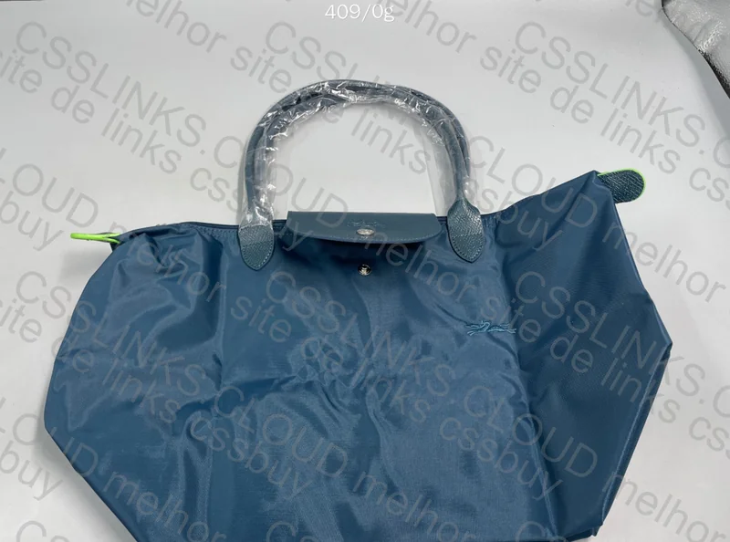 Longchamp Bag