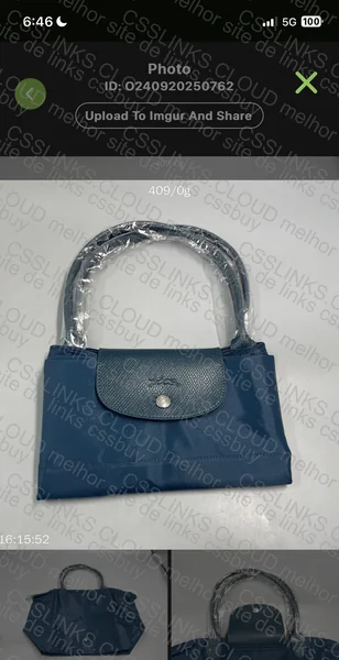 Longchamp Bag 2
