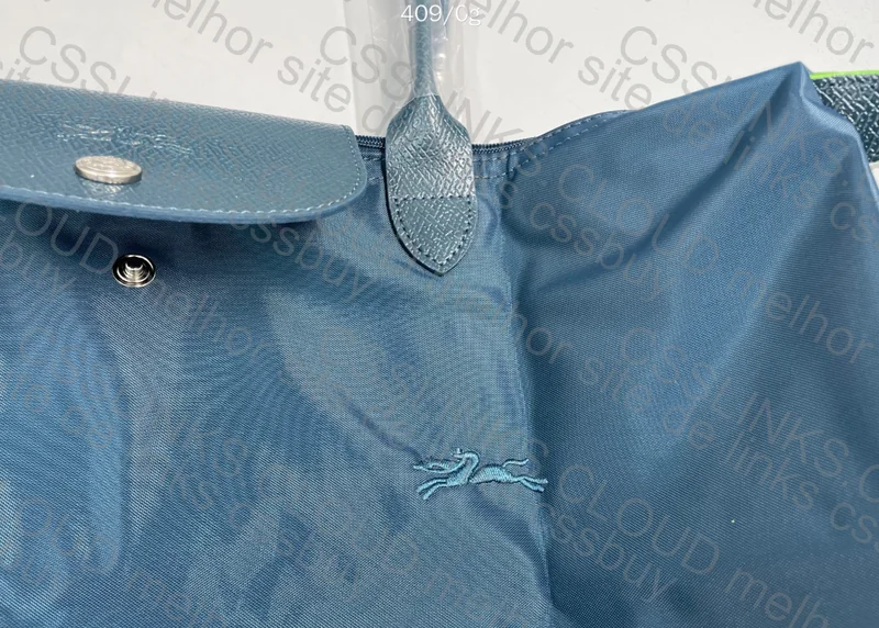 Longchamp Bag 3