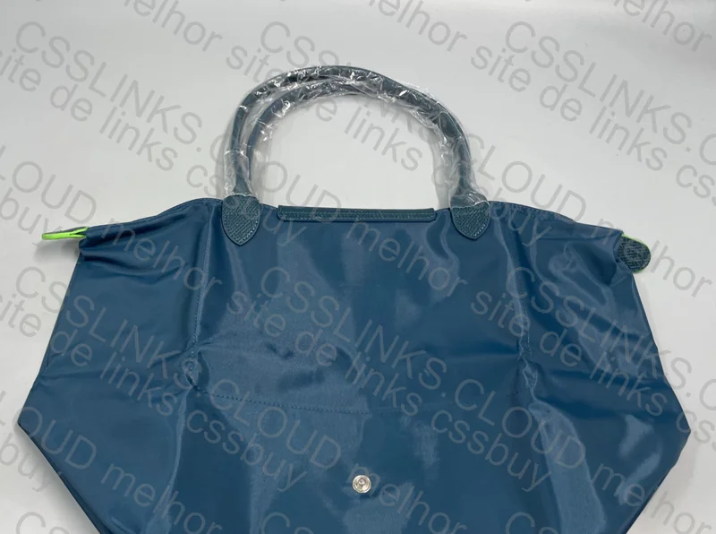 Longchamp Bag 4