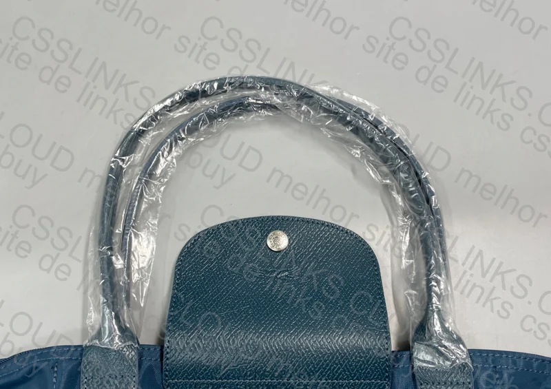 Longchamp Bag 5