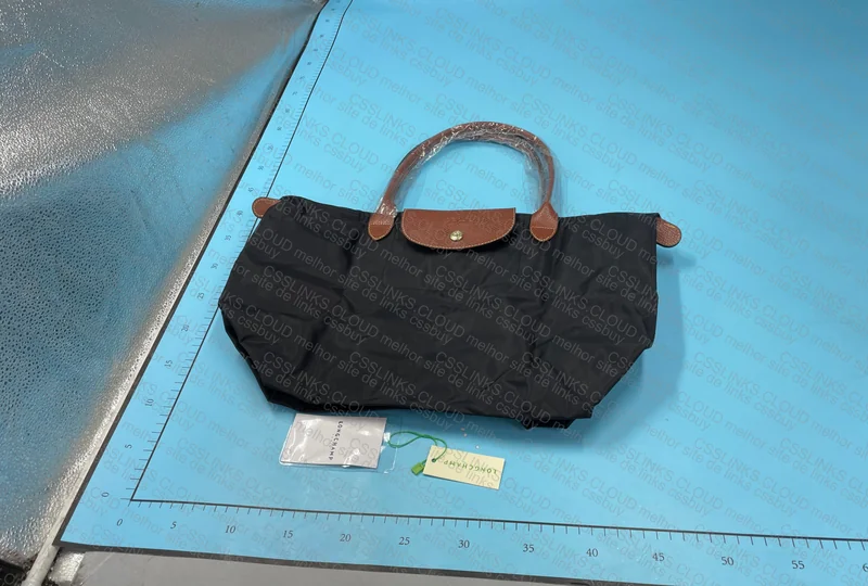 Longchamp Bag 2