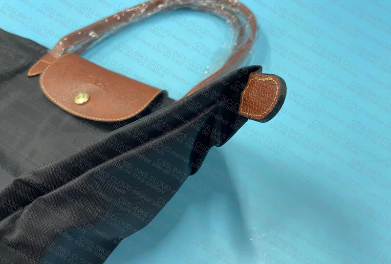 Longchamp Bag 3
