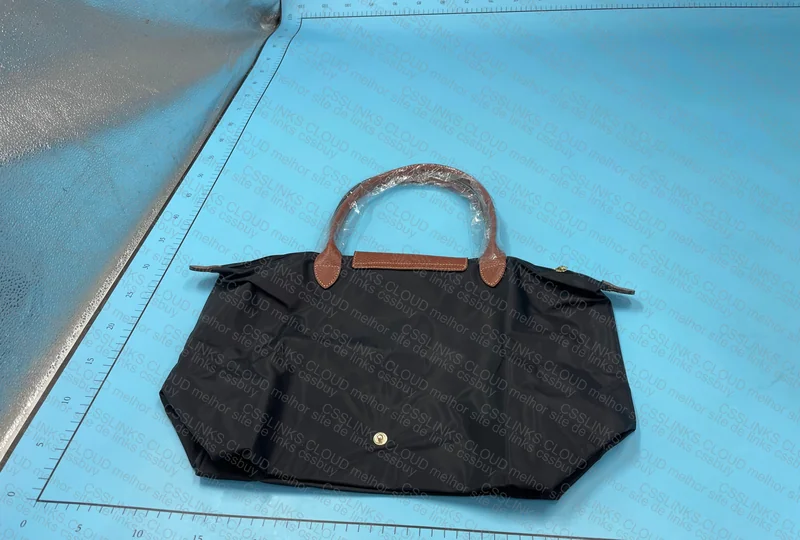 Longchamp Bag 4