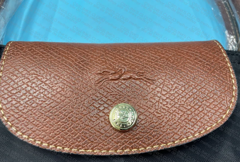 Longchamp Bag 5