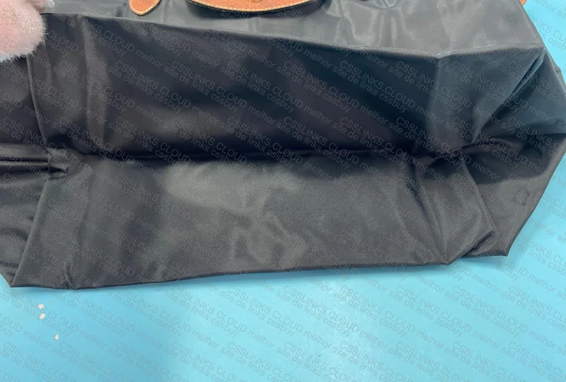 Longchamp Bag 7