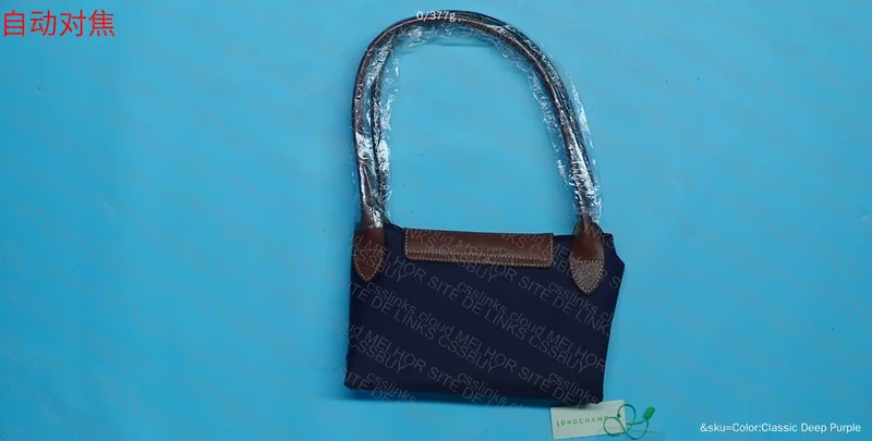 Longchamp Bag
