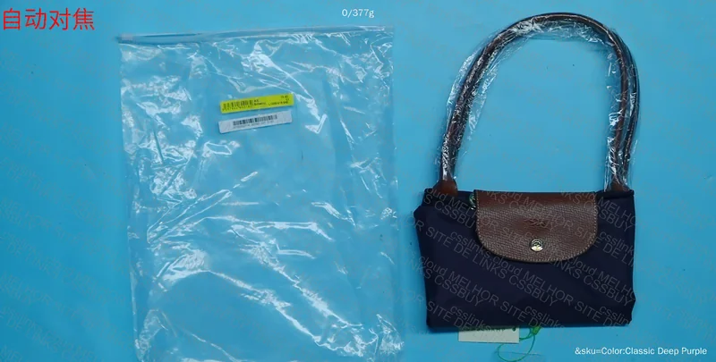Longchamp Bag 2