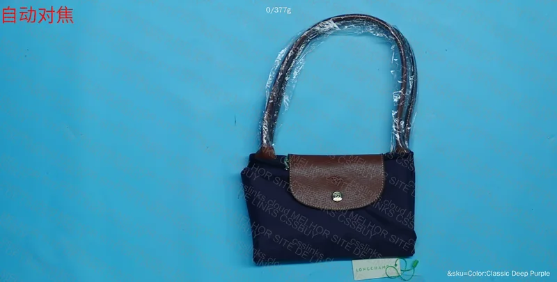 Longchamp Bag 3