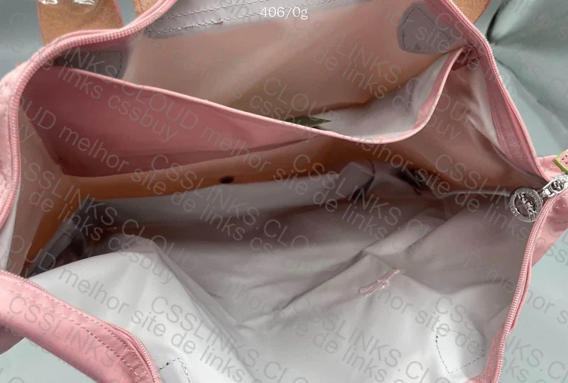 Longchamp Bag (help)
