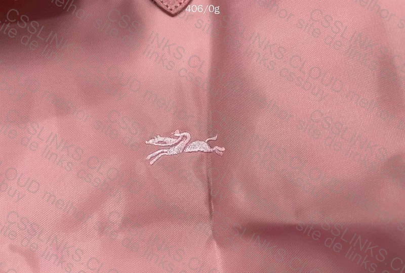 Longchamp Bag (help) 3