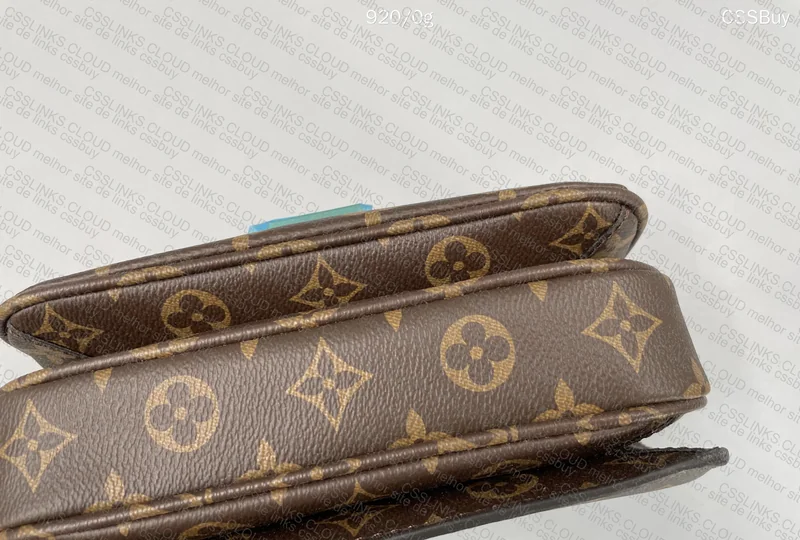 Louis Vuitton Bag 6