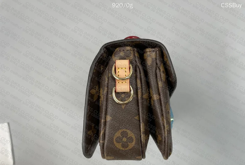 Louis Vuitton Bag 8