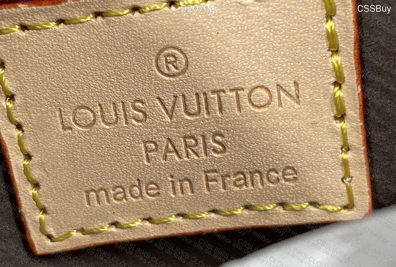 Louis Vuitton Bag 2
