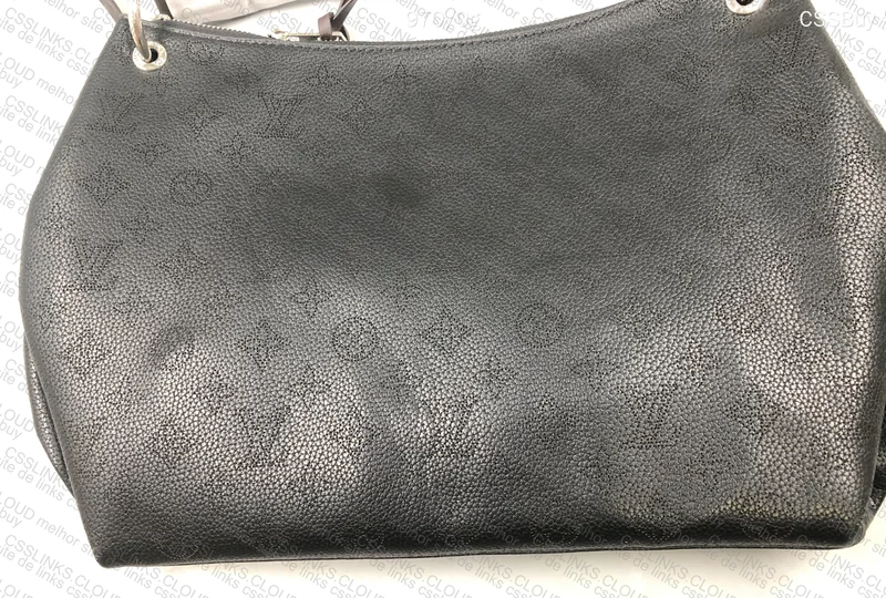 Louis Vuitton Bag 5