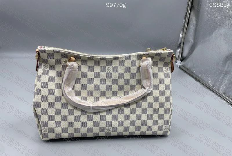 Louis Vuitton Bag 2