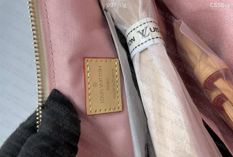 Louis Vuitton Bag 3
