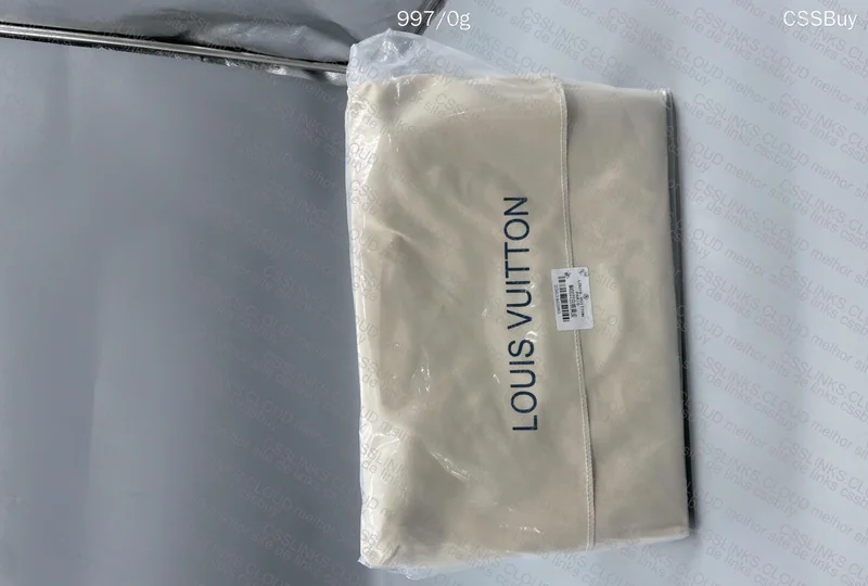 Louis Vuitton Bag 4