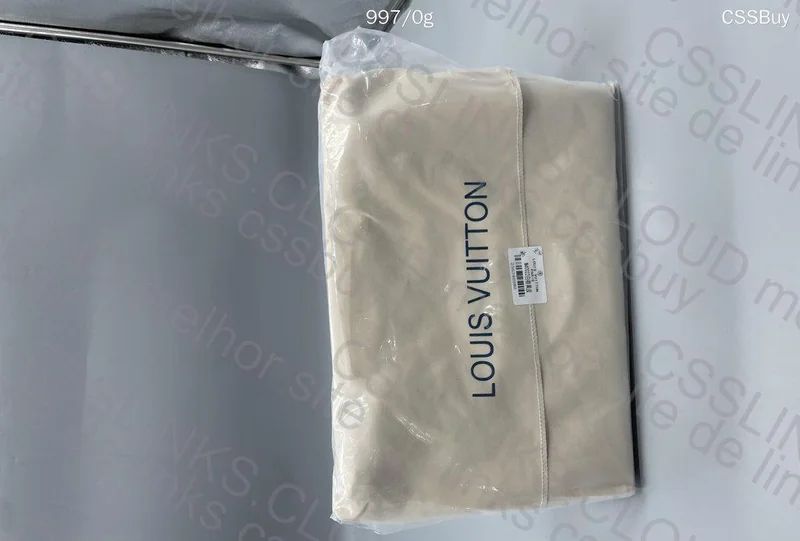 Louis Vuitton Bag 5