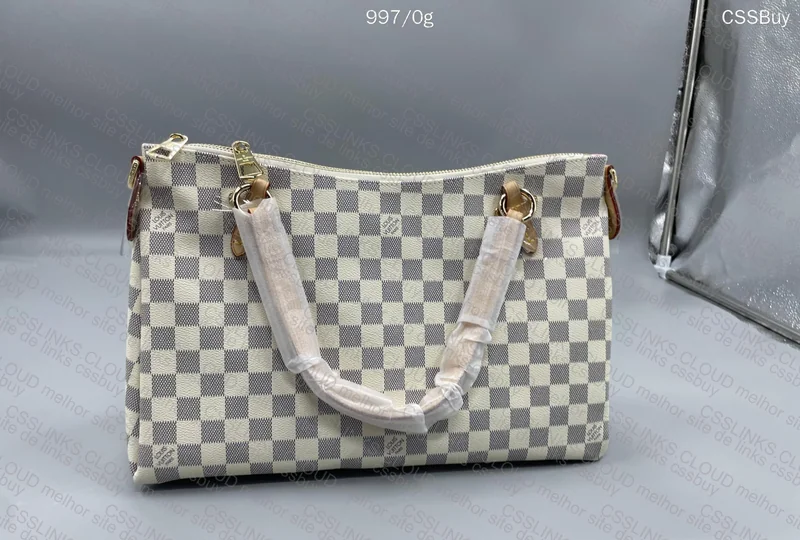 Louis Vuitton Bag 6
