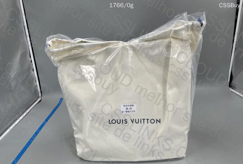 Louis Vuitton Bag 11