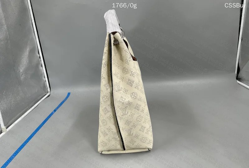 Louis Vuitton Bag 2