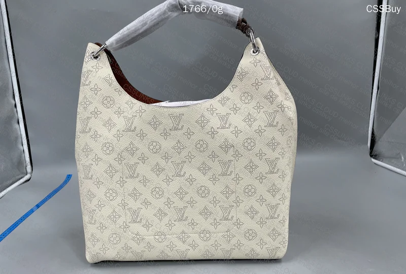 Louis Vuitton Bag 3