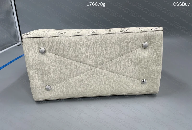 Louis Vuitton Bag 5
