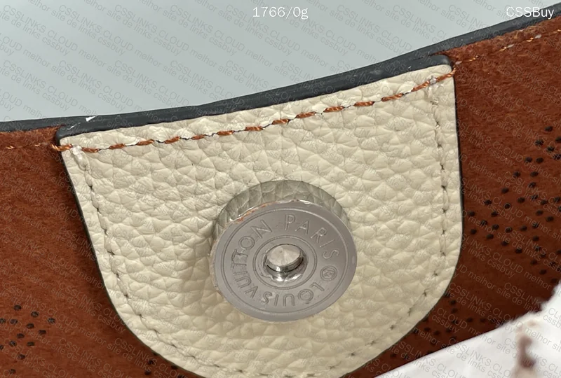 Louis Vuitton Bag 6