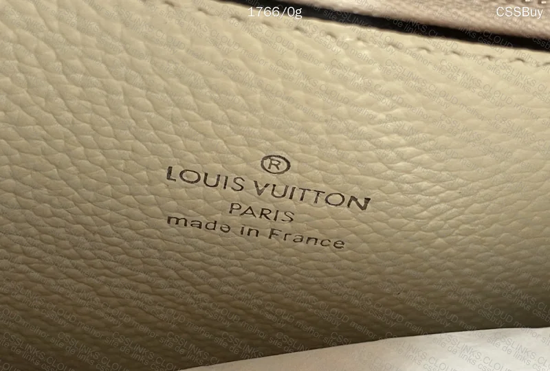 Louis Vuitton Bag 7