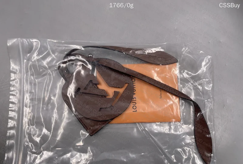 Louis Vuitton Bag 9